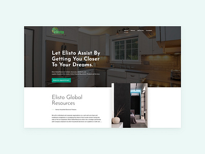 Elisto Global Resources - Website Showcase design graphic design ui ux website