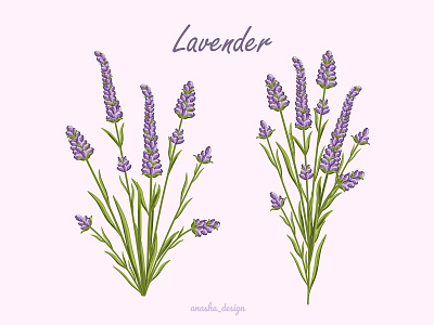 lavender illustration 2d adobe illustrator anasha design design digitalillustration flower flowersvector graphic design illustration lavender logo pattern patterndesign plant print seamlesspattern spring vector vectorpattern wrappingpaper