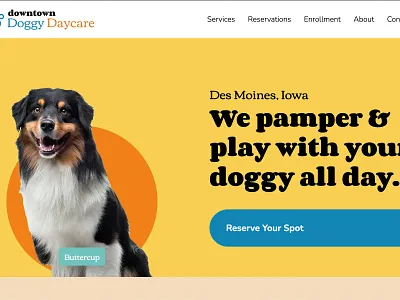 Downtown Doggy Daycare - Website Concept design ui ux