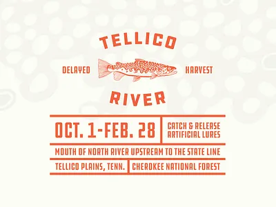 Tellico River design fish fishing flat illustration outdoors poster procreate river shirt simple tennessee thick lines trout vector