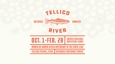 Tellico River design fish fishing flat illustration outdoors poster procreate river shirt simple tennessee thick lines trout vector