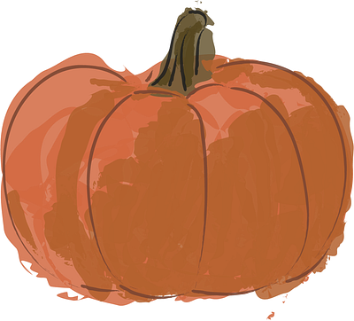 Pumpkin Illustration design illustration