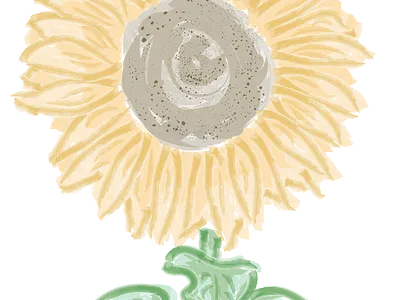 Sunflower Illustration design illustration
