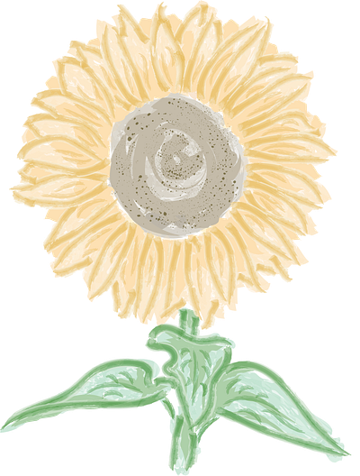 Sunflower Illustration design illustration