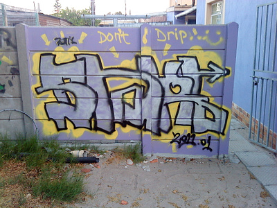 2011 Backyard Graffiti drawing graffiti passion spray paint