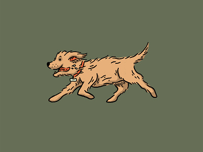 Indy art dog illustration indy mini golden doodle procreate pup puppy texture