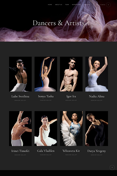 Ballet dancer team blog customization design ecommerce elementor illustration website design wordpress