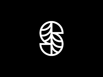 Sequoia Orthodontics Logo brand brand identity branding identity design identity system lettermark logo logo design logo designer logo identity medical logo monogram orthodontics tech logo tree logo