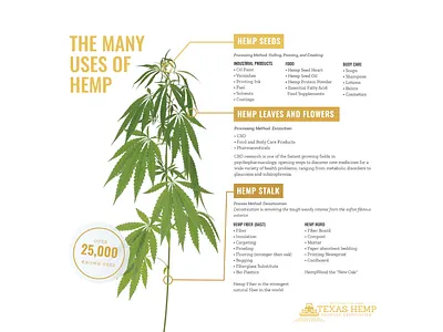 Hemp Infographic