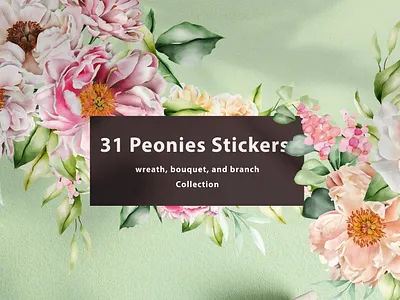 Floral peonies stickers collection elements illustration nature