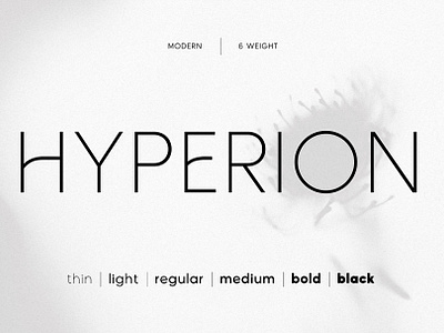 Hyperion – Sleek Modern Sans advertising branding business classy clean elegant fashion font magazine minimal modern professional sans sexy sophisticated stationary timeless typeface wedding