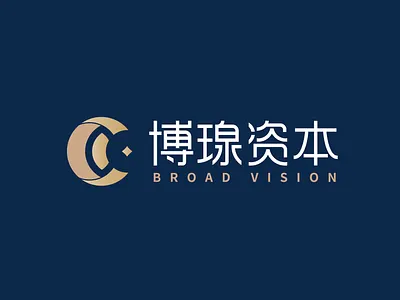 博瑔资本品牌视觉系统logo设计 branding logo