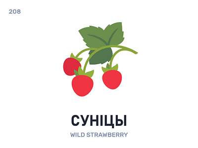 Сунíцы / Wild strawberry belarus belarusian language daily flat icon illustration vector