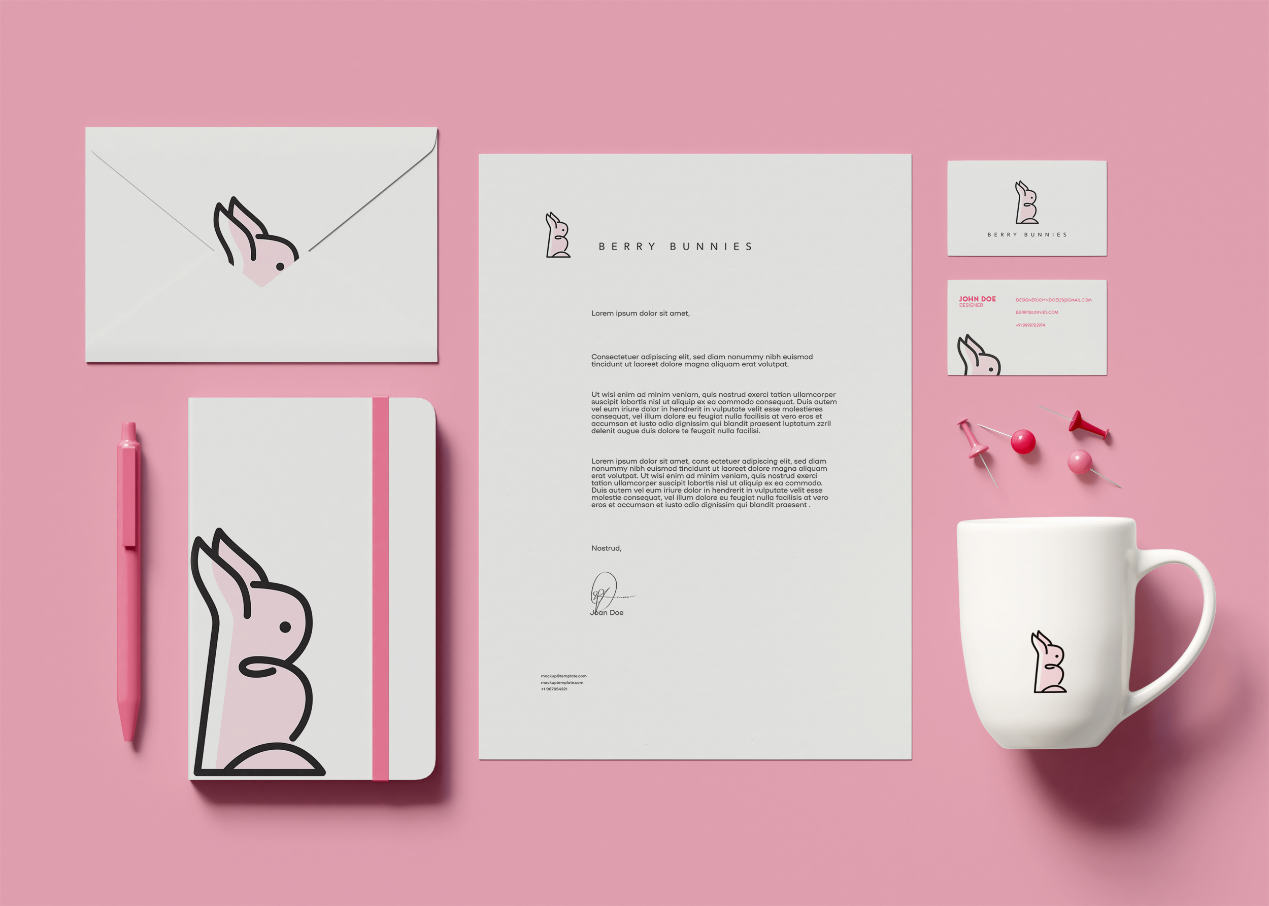 Branding - Berry Bunnies brand brand design brand identity branding custom lettered logo custom lettering custom logo design dribbble freethrow hand lettering identity identity design illustration lettering logo logo design logo type procreate visual identity