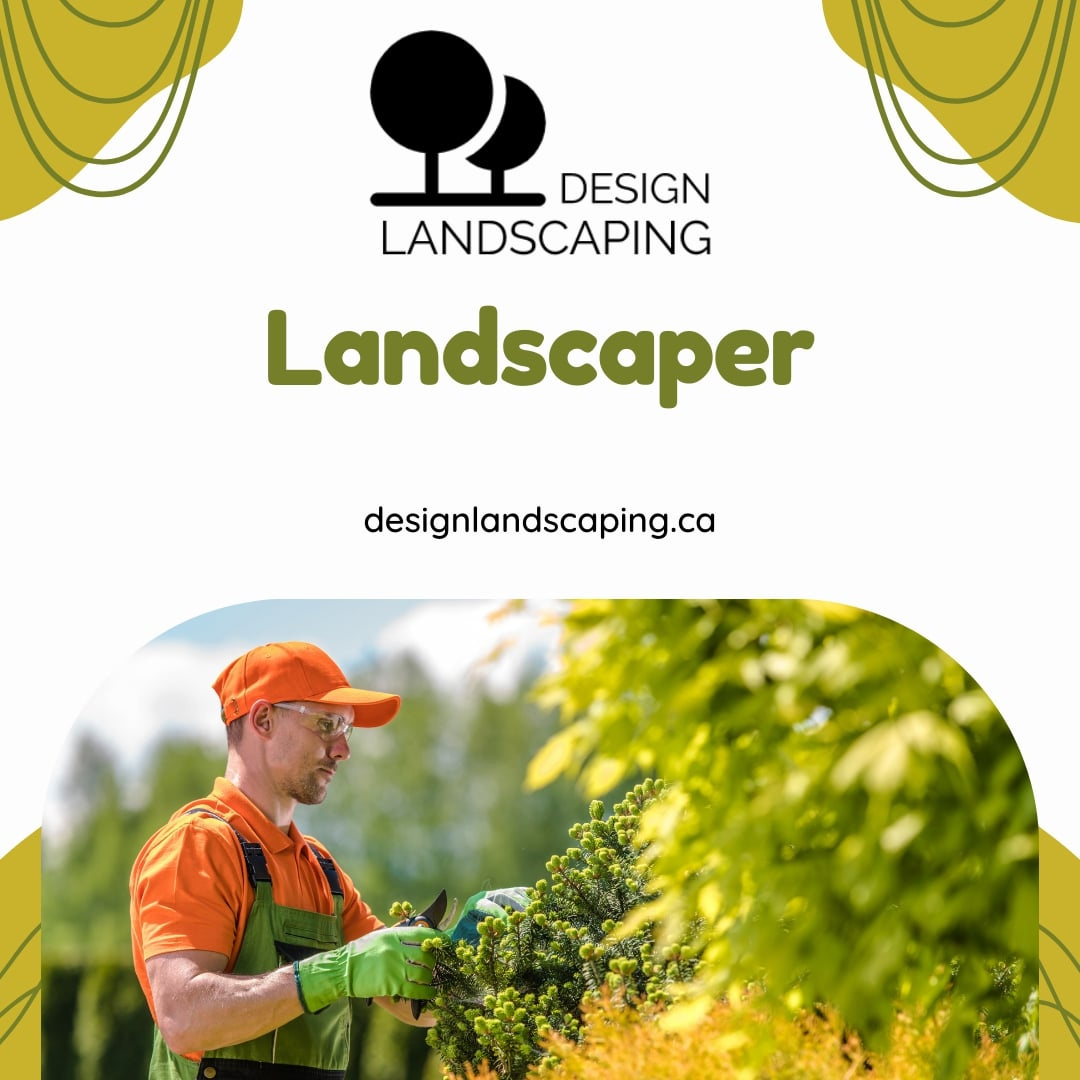 Reimagine Your Outdoors with Expert Edmonton Landscaper by Design