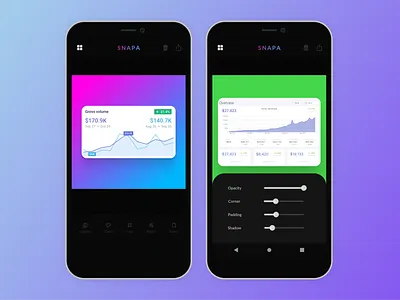 SNAPA APP figma flutter app ui