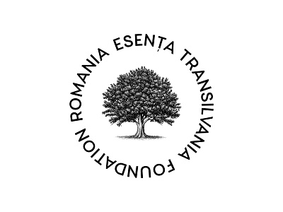 #15 branding design graphic design idenity lettermark logo logomark mark rebranding romania symbol transilvania