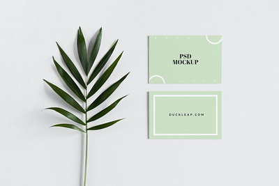 Free Minimal Front and Back Business Card Mockup branding mockup business card card mockup free download free mockup freebie mockup mockup design randing
