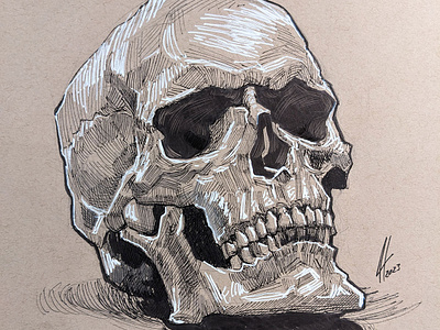 skullz illustration