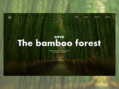 The bamboo forest website first screen
