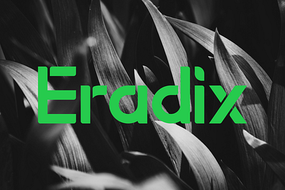 Eradix branding design graphic design icon illustration logo typography vector