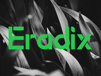 Eradix branding design graphic design icon illustration logo typography vector