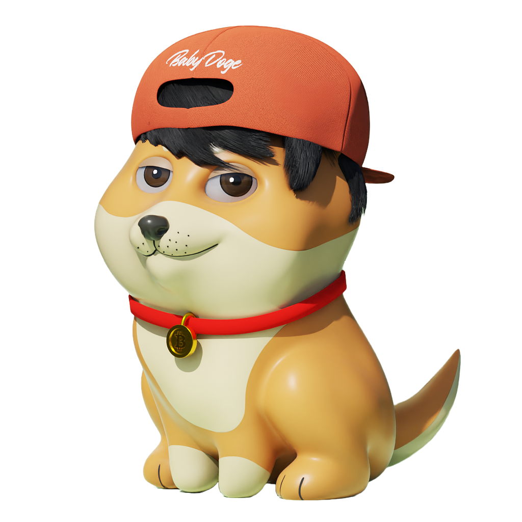 Baby Doge Coin by Eduardo Aguirre Quintana on Dribbble