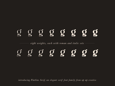 flatline-serif-normal-cm-2-.png
