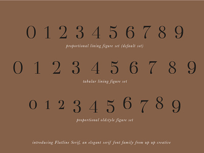 flatline-serif-normal-cm-9-.png
