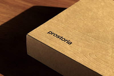 Prostoria Surface Restoration Kit art direction branding creative direction design graphic design packaging