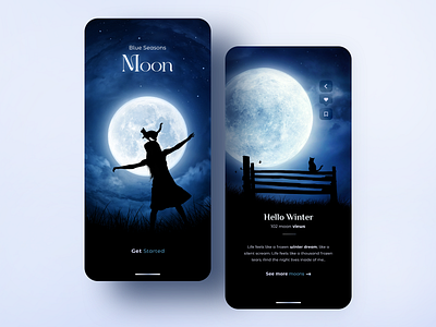 Moon UI - Concept adobe photoshop art black cat cat concept web design digital dribbble dribbble inspiration graphic design illustration moon night photoshop typography ui ui design vector web design winter