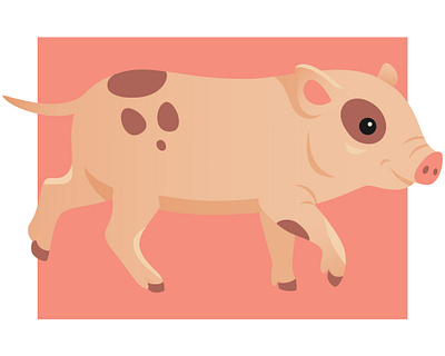 Pig Illustration adobe illustrator animal children design digital illustration illustration pig vector illustration