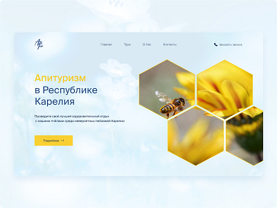 Дизайн главного экрана для сайта / Website home screen design design figma web design