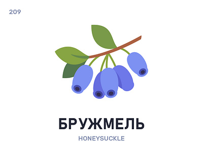 Бружмéль / Honeysuckle belarus belarusian language daily flat icon illustration vector