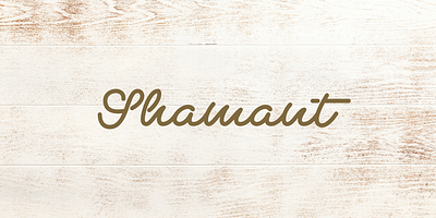 Monoline Script font