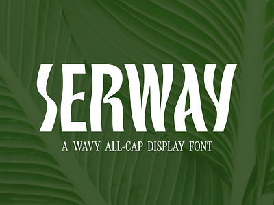 Wavy sans serif font modern nature retromodern typography wavy