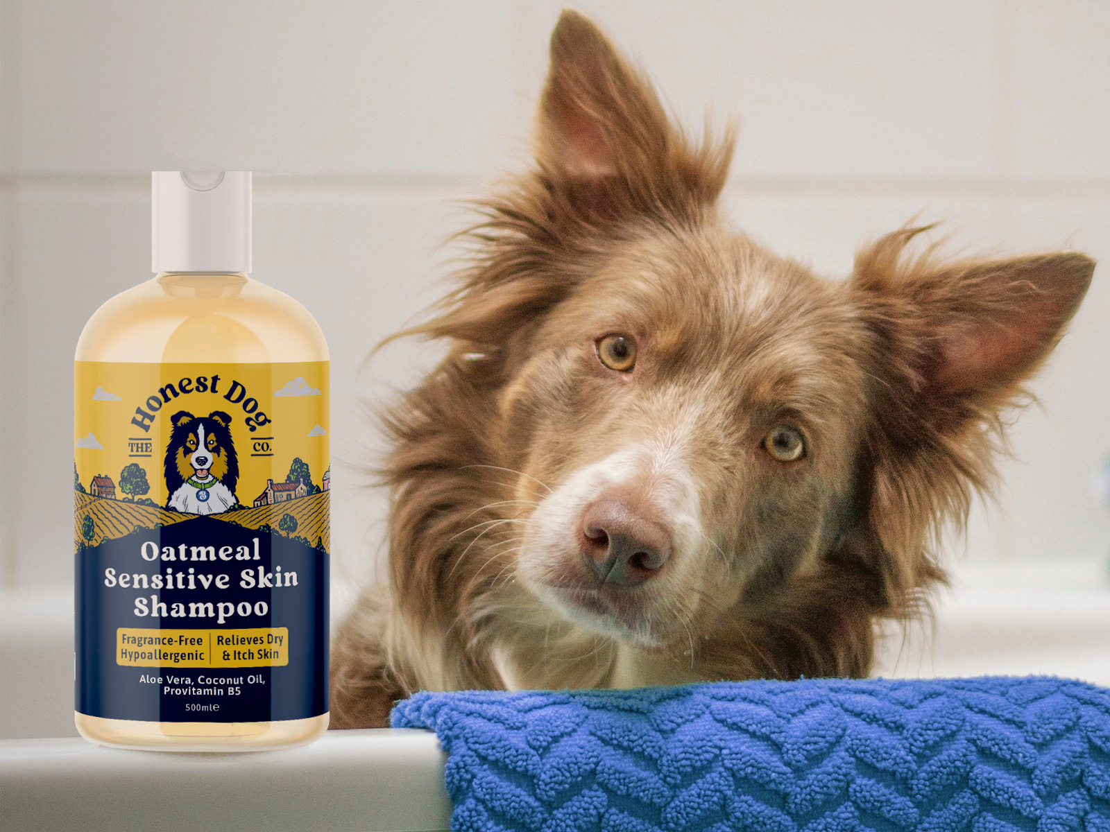 Dog shampoo label design for pet care company by Mila Katagarova on