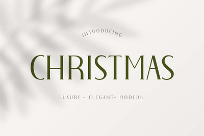 Christmas Elegant Font app branding design graphic design illustration logo typography ui ux vector