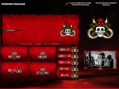 full Twitch package for streamers animation branding design graphic design illustration logo streaming twitch twitch overlay ui vector