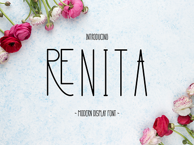 Renita - Modern Display Font wedding font