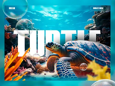 Turtle Web Design adobexd figma ui ux web design