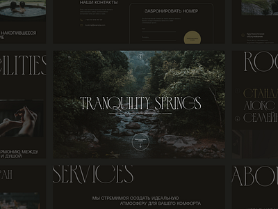 Tranquilty Springs | Hotel Landing Page calm concept earthy forest homepage hotel landing page luxury minimal nature peaceful resort typography ui design uxui design