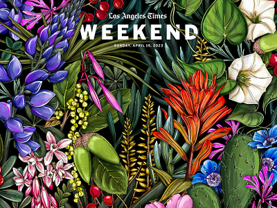 Los Angeles Times Cover Page Illustration botanical editorial floral illustration los angeles times packaging pattern surface design typography