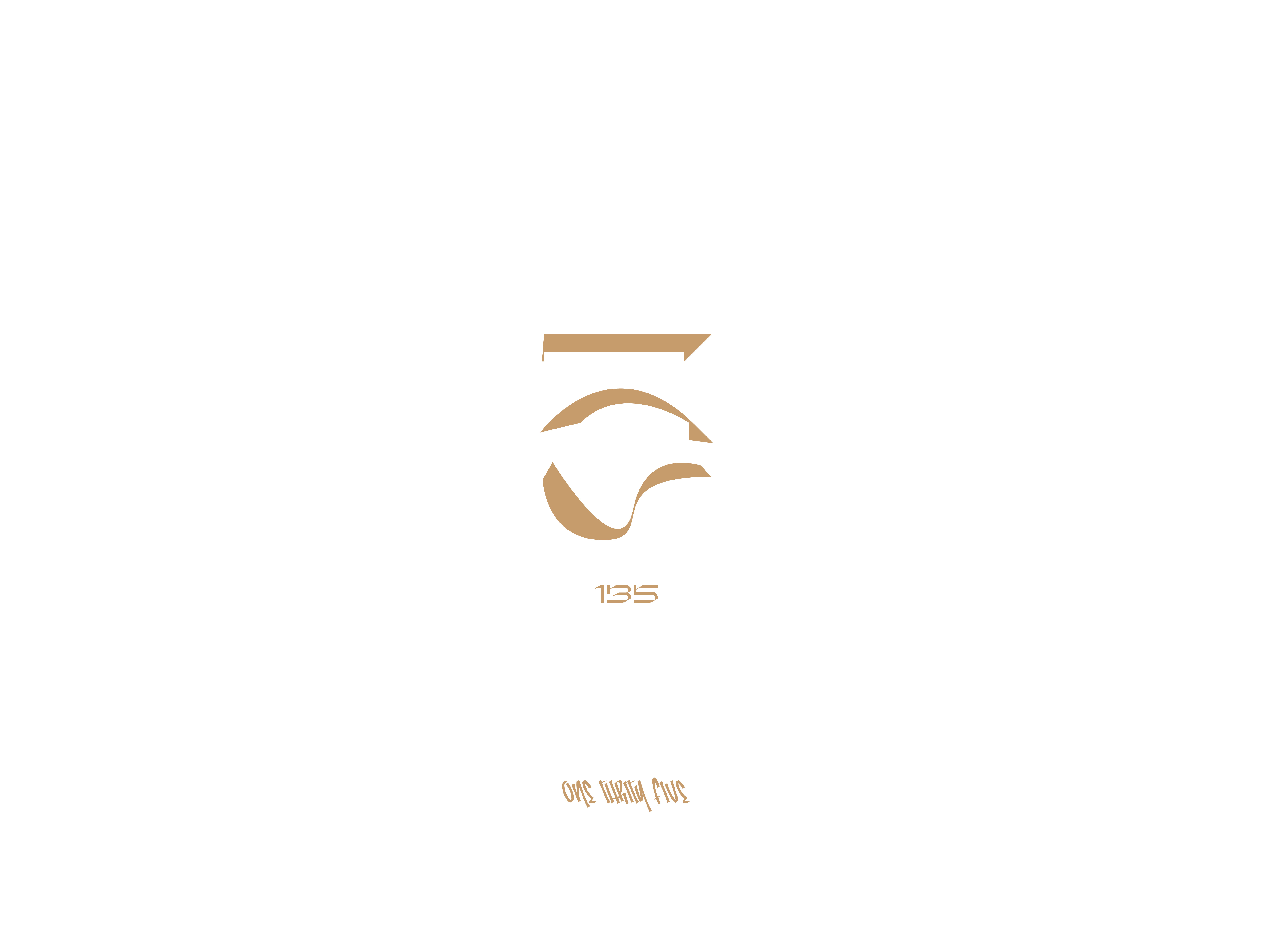 135 branding design graphic design icon illustration logo minimal ui ux vector