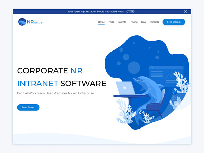 nr intranet design and illustration design ui ux web website