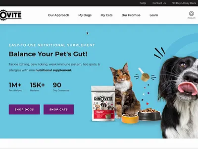 Dinovite - Quiz Funnel branding charlotte customized products design dogs ecommerce funnel graphic design product product funnel quiz ui ux web website