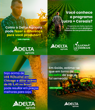 Social Media - Agribusiness agribusiness branding design graphic design marketing photoshop social media