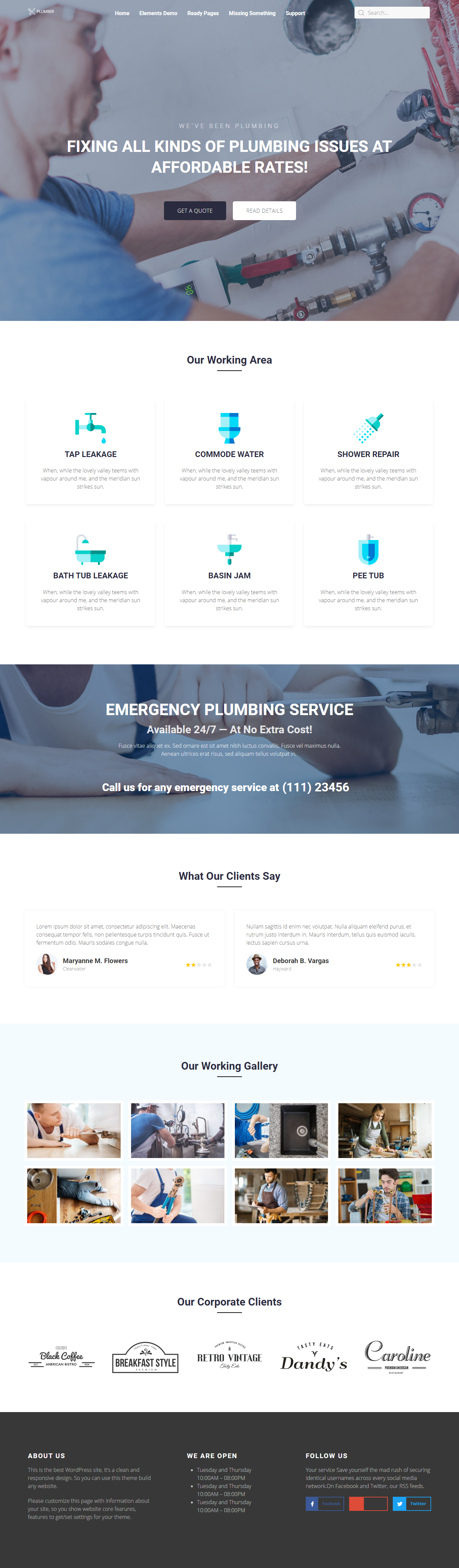 Plumber Template 1 blog customization design ecommerce elementor website design wordpress