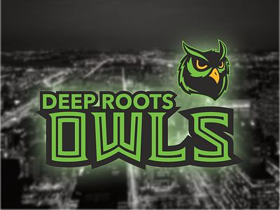 Deep Roots Charter School Owls Logo brand branding deep roots identity logo mascot owl owls philadelphia philly