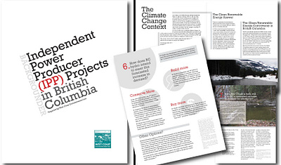Report: Independent Power Projects environment non profit print design report